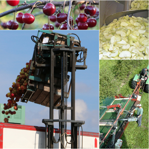 Bio-Sauerkirschen und Bio-Schäläpfel und Mostäpfel für die Bio-Apfelmus- und Bio-Saft Produktion, tiefgefrorene Bio-Apfelstücke aus zertifiziertem Ökoanbau für Bio-Lebensmittel Weiterverarbeitung, Bio-Johannisbeeren als Verarbeitungsware