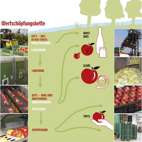 Bioobst Wertschpfungskette bei Rolker von der Apfelernte ber die Sortierung in Most- und Industrieware, Lagerung und Sortierung in unterschiedliche Gren und Qualitten Bio-Tafelobst, bis zur -verpackung lose oder gelegt in Pfand oder Mehrweg oder zum Beispiel in Blitzschalen oder Cellulosenetzen