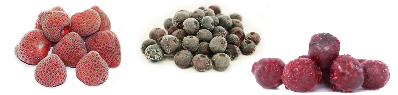 tiefgekhlte Bio-Verarbeitungsware Bio-Erdbeeren, Bio-Kirschen, Bio-Johannisbeeren, Bio-Heidelbeeren fr die Bio-Lebensmittelherstellung